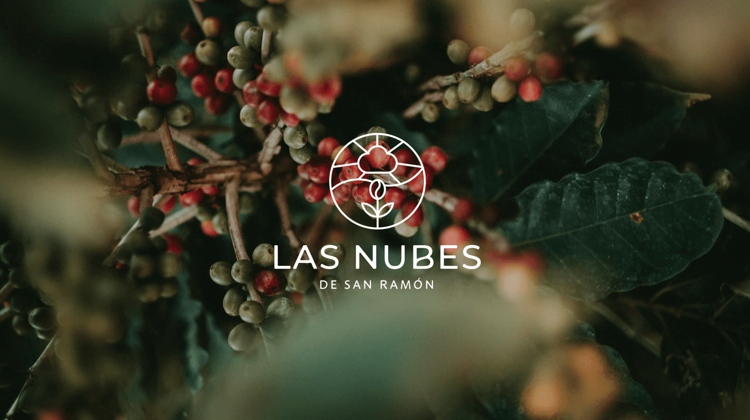 Cover image for Las Nubes Coffee.